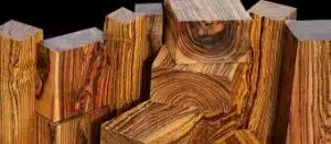 أنواع الخشب واستخداماته